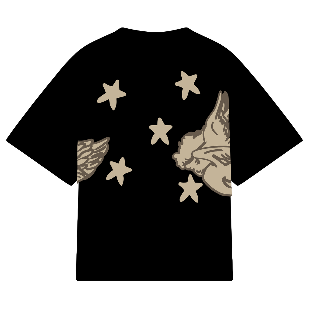 sky dream fall angels