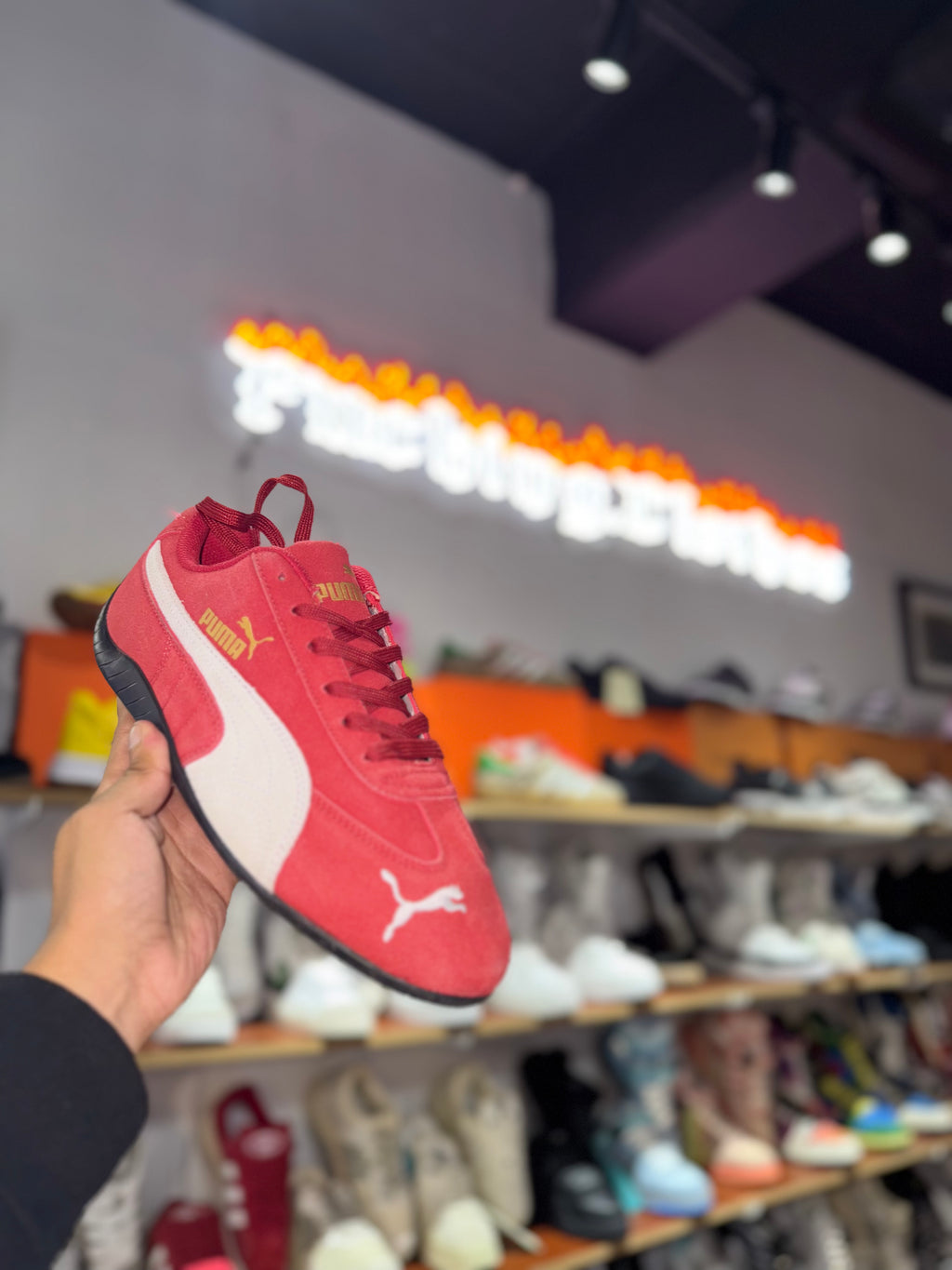 Puma Red Speedcat