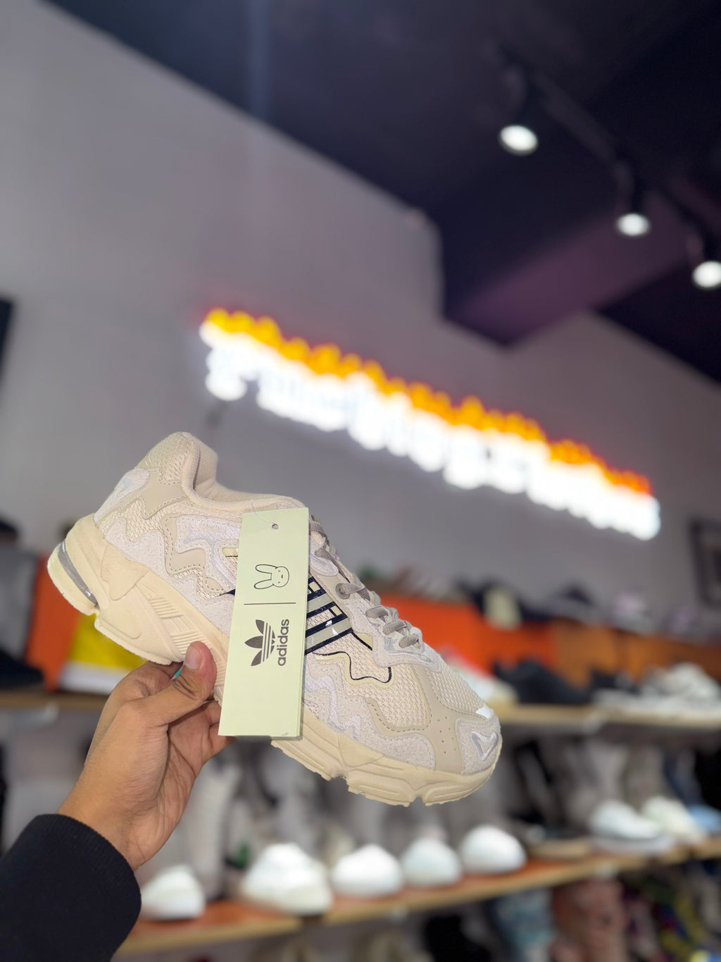 Conejo Malo Responce