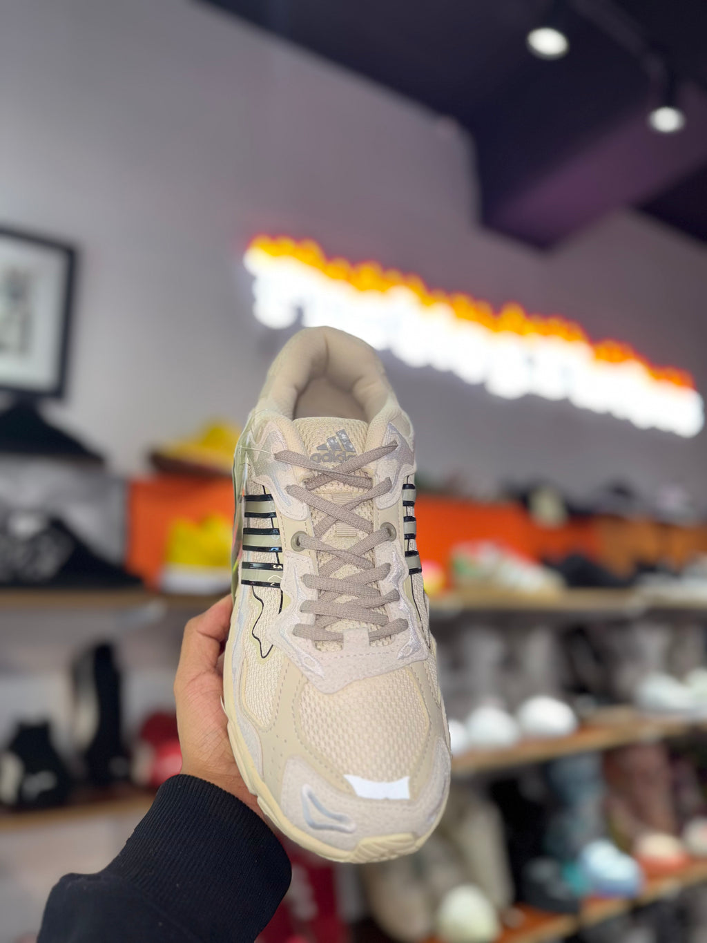 Conejo Malo Responce