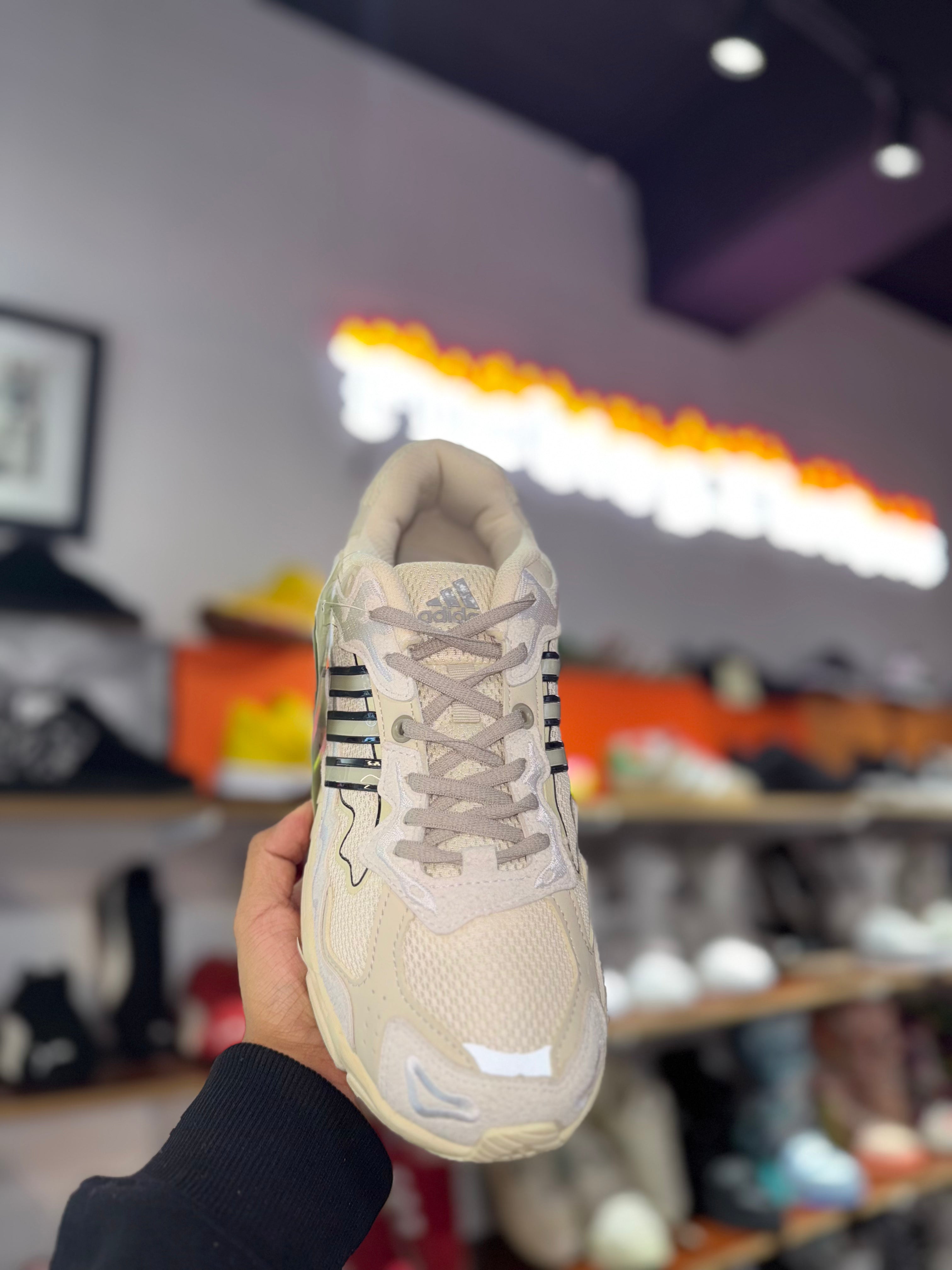 Conejo Malo Responce