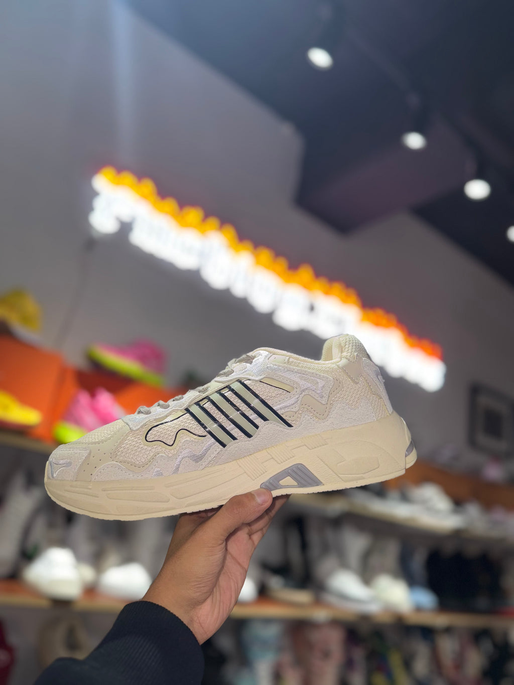 Conejo Malo Responce