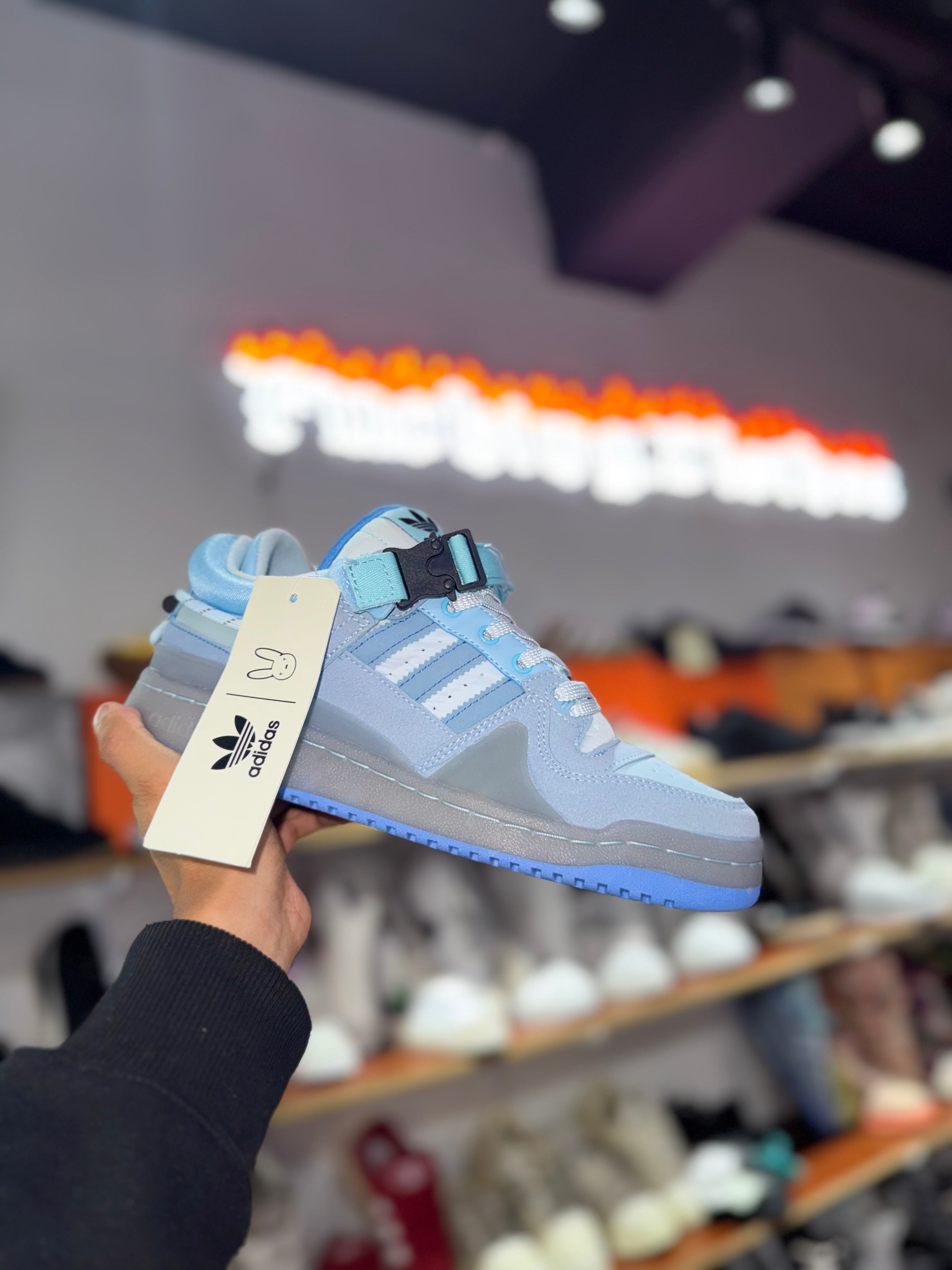 Conejo Malo Blue Tint