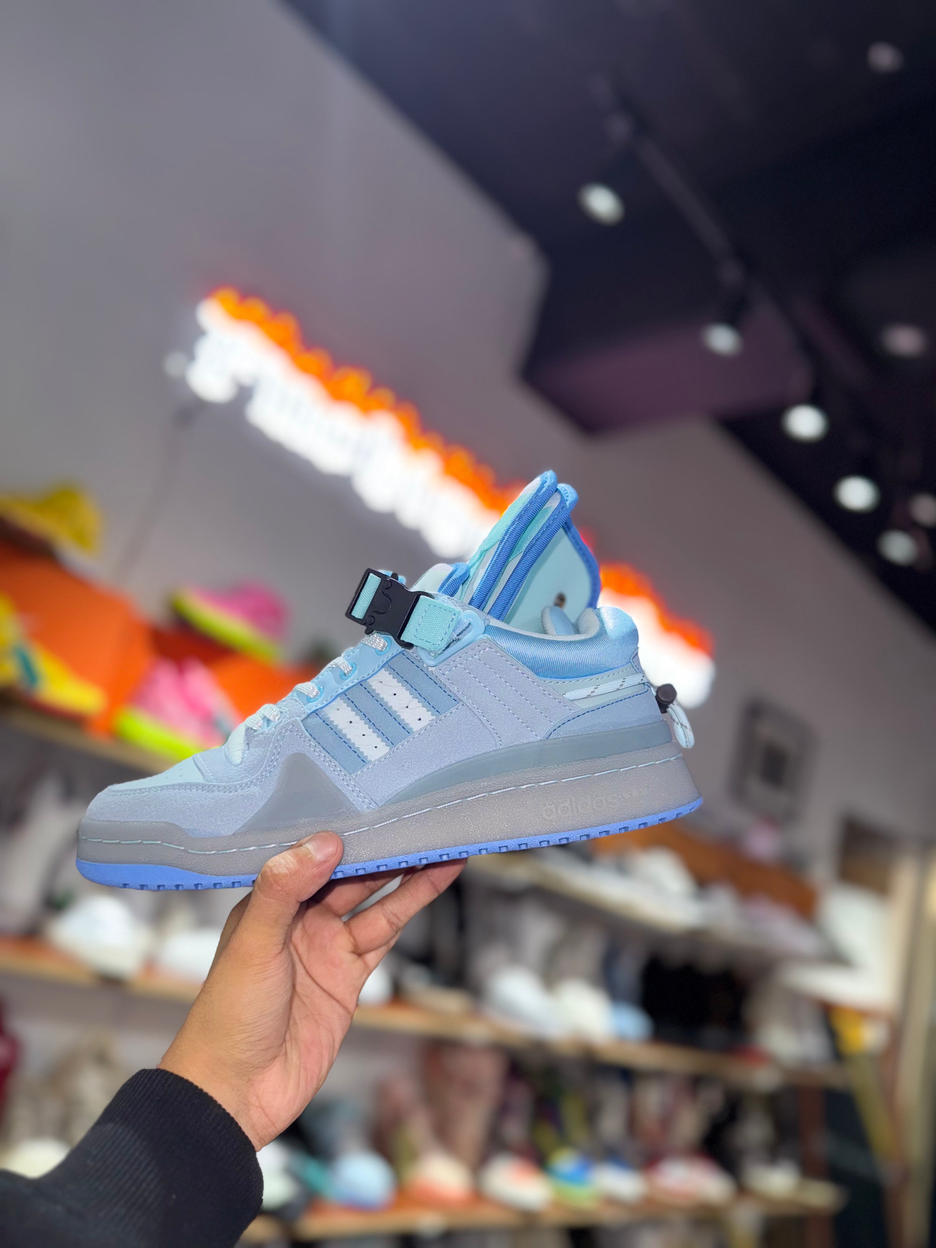 Conejo Malo Blue Tint