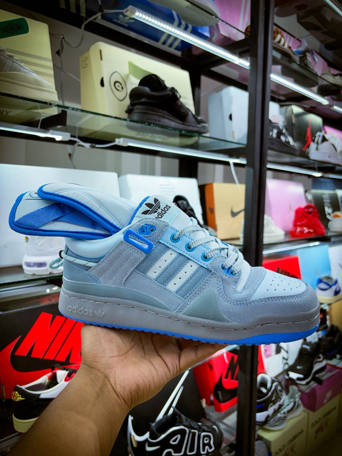Conejo Malo Blue Tint