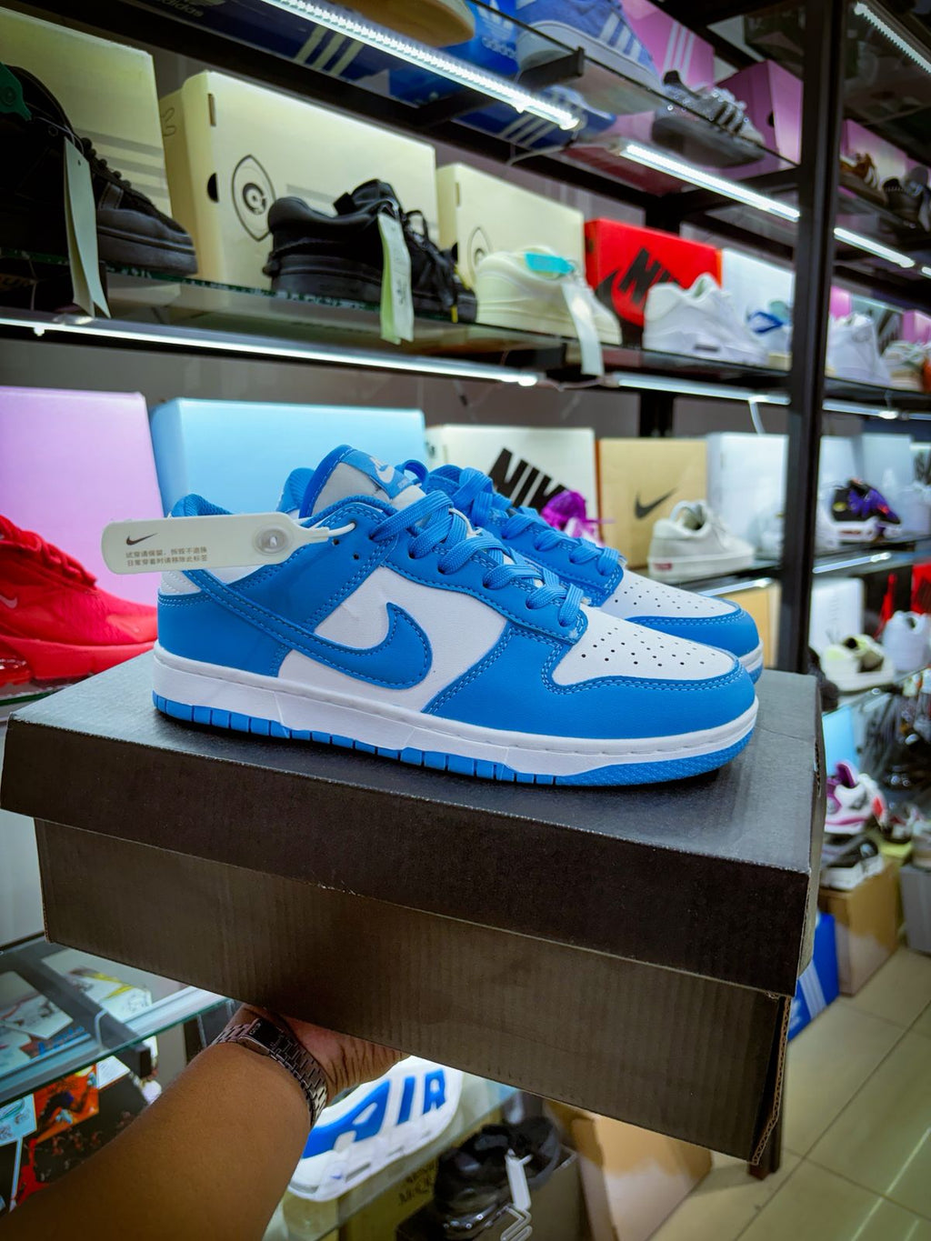 TENIS NIKE DUNK LOW