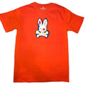 Psycho Bunny Multicolor