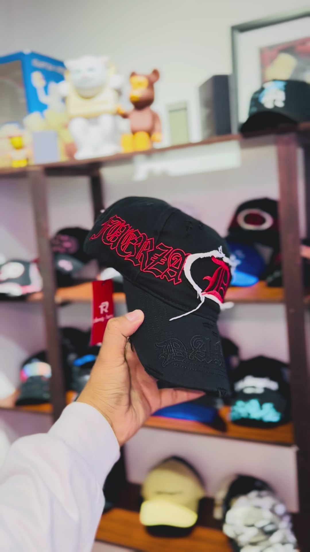 FUERZA REGIDA x DANDY HATS